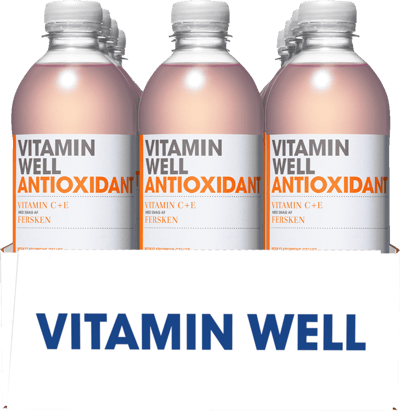 Vitamin Well Antioxidans 12x05L PET